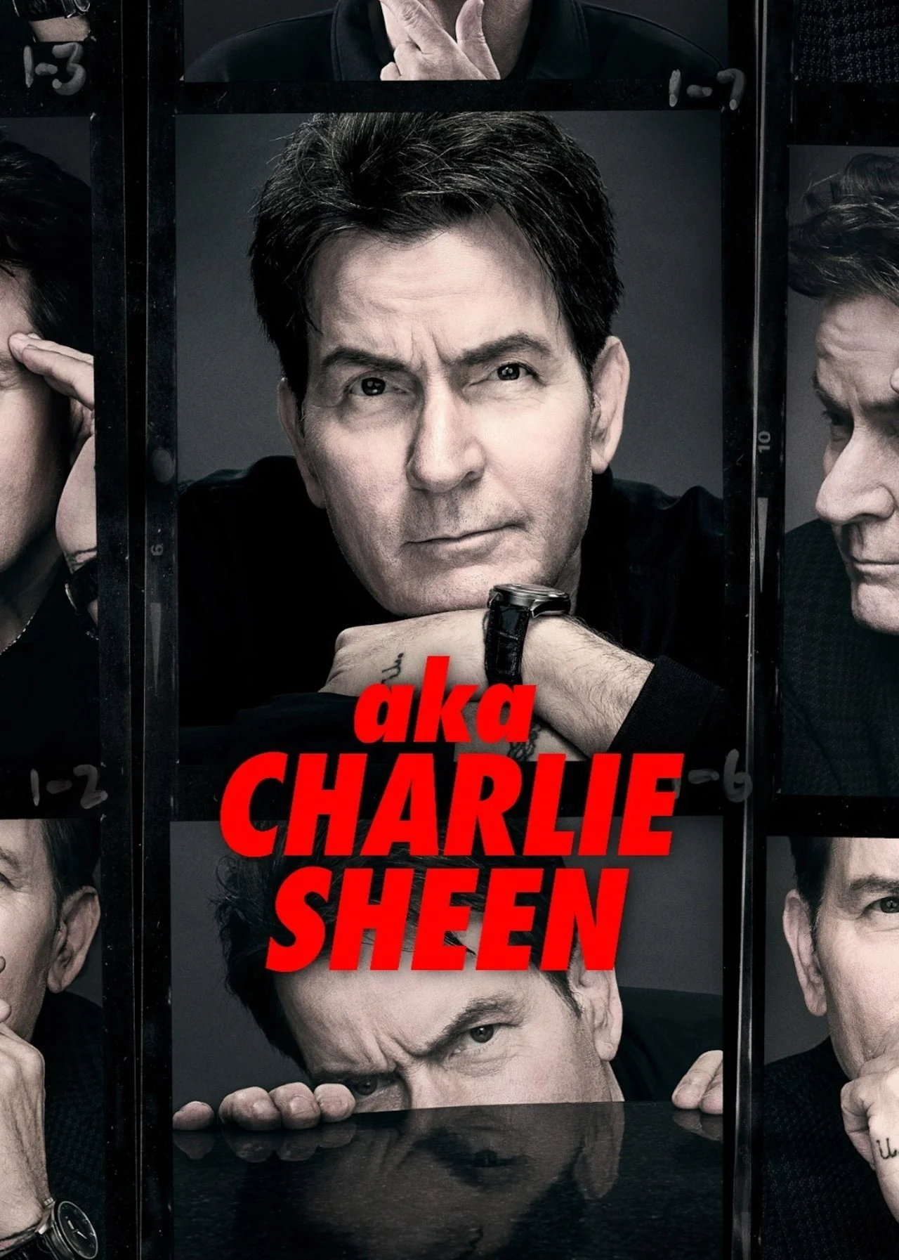 aka Charlie Sheen: The Adult Chronicles