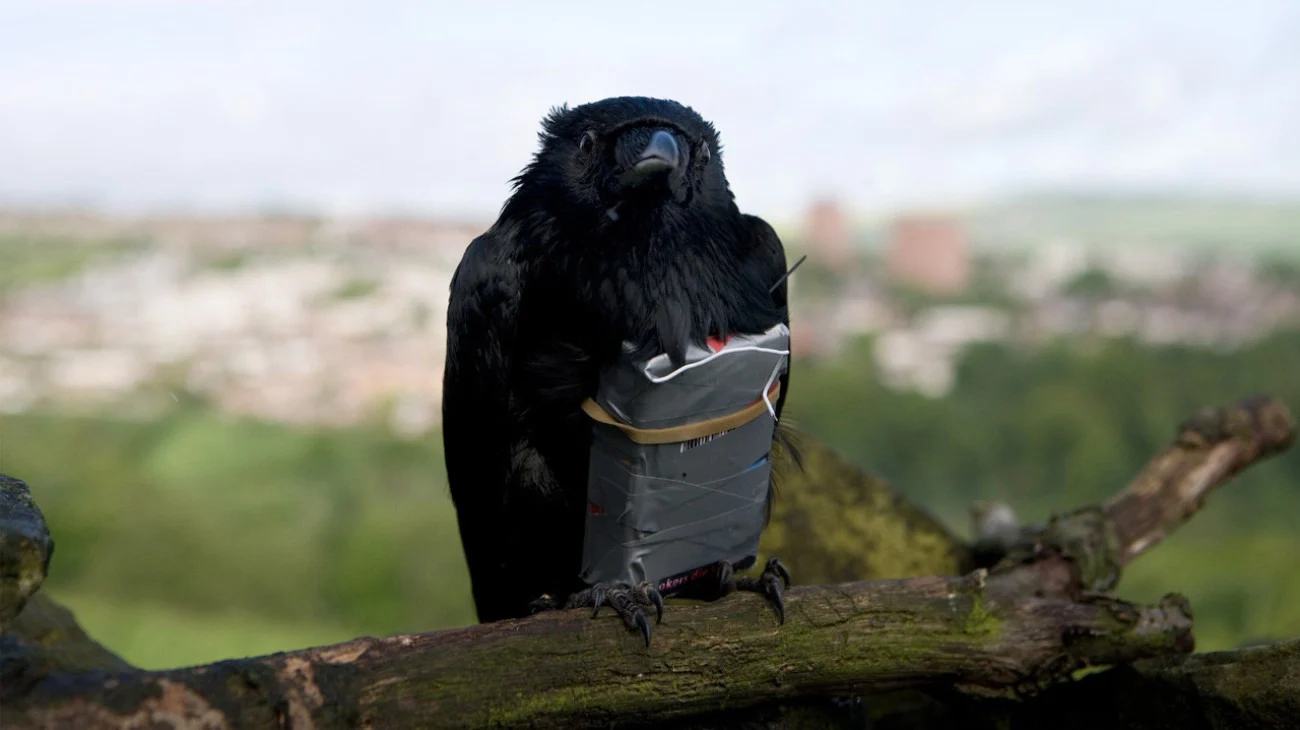 Bốn Kẻ Dũng Mãnh Tập Full