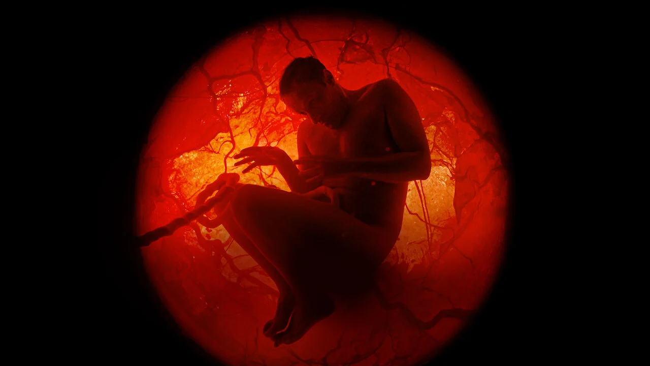 Cả một đời người với Jamie Demetriou Tập Full