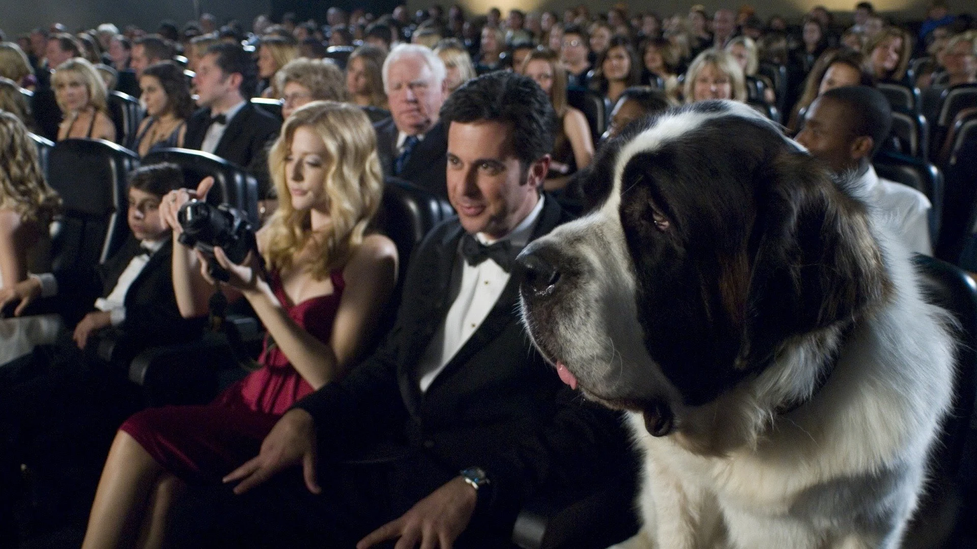 Chú chó Beethoven 6: Ngôi sao mới Tập Full