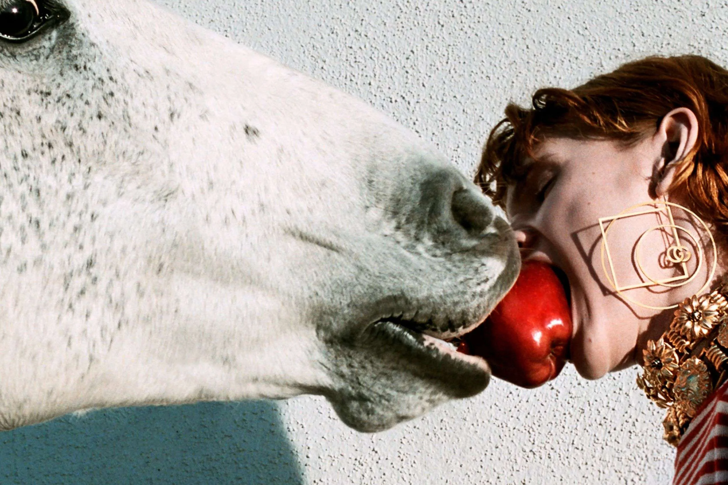 Cô gái cùng bầy ngựa Tập Full