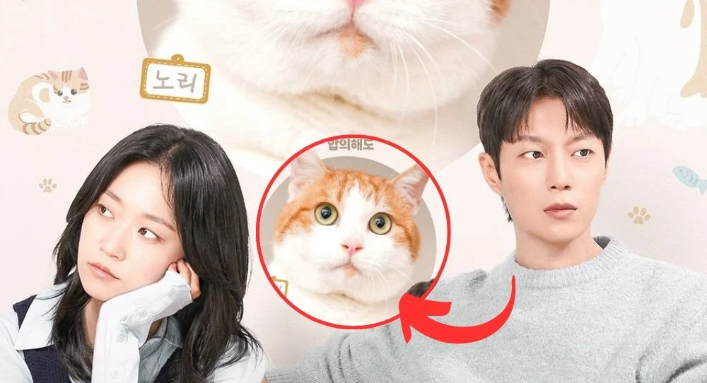 Cuộc Chiến Giành Quyền Nuôi Mèo Tập Full