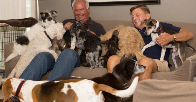 Cuộc Sống Ở Trại Chó Tập Full