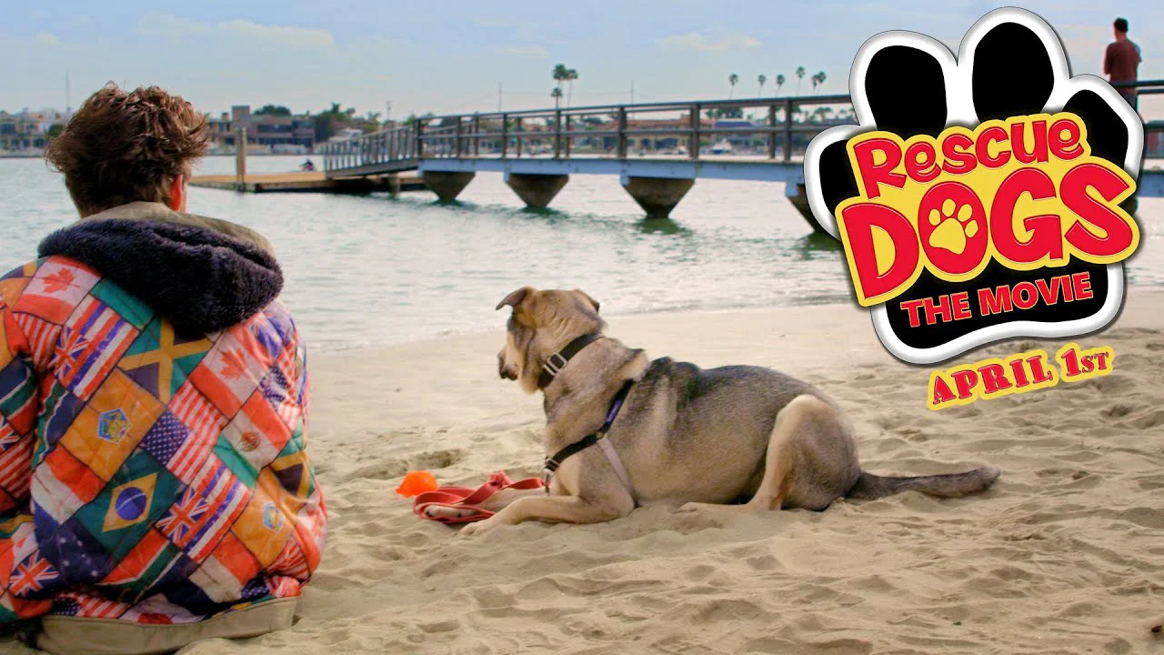 Cứu chó Tập Full