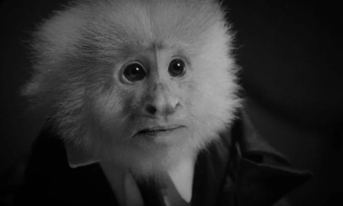 JACK ĐÃ LÀM GÌ? Tập Full