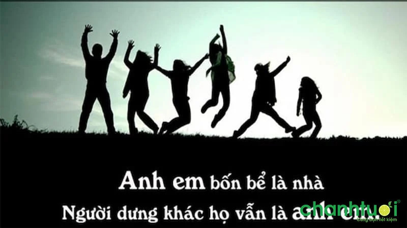 Người anh em xa lạ Tập Full