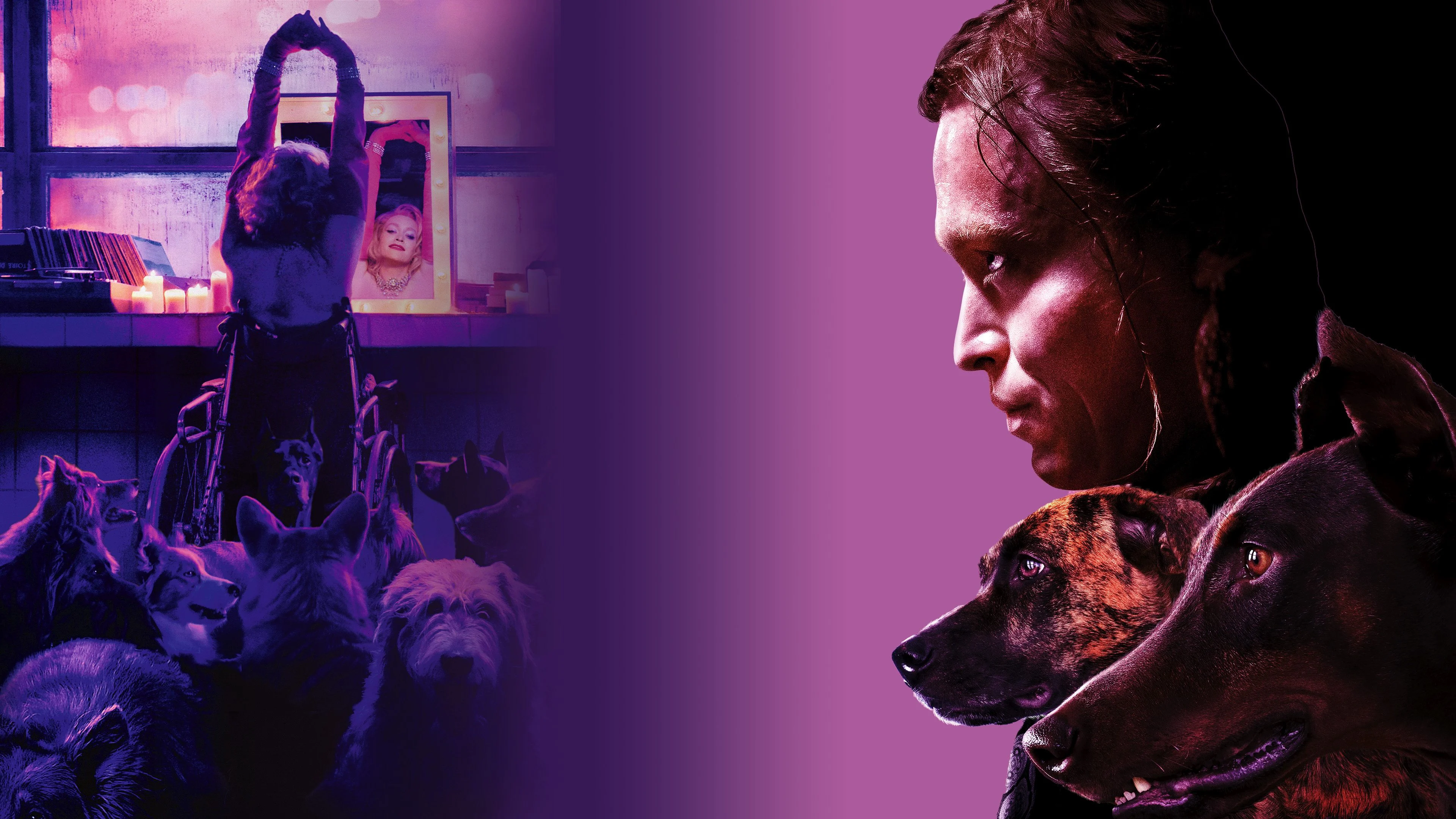 Người Yêu Của Chó Tập 