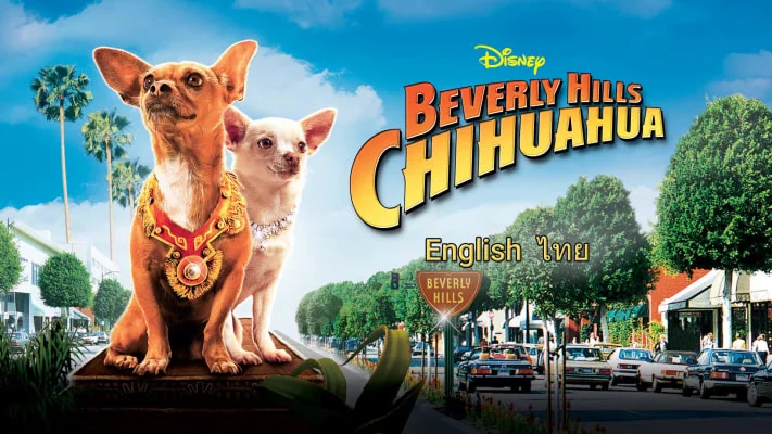 Những Chú Chó Chihuahua Tập Full