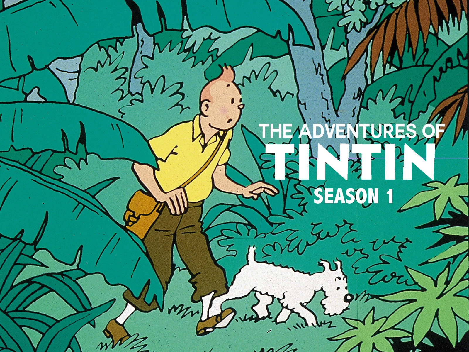 Những Cuộc Phiêu Lưu Của Tintin: Phần 1 Tập 1