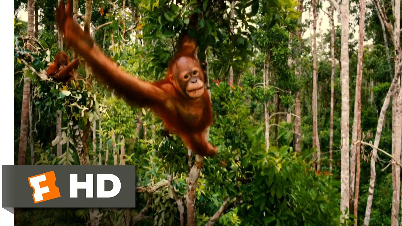 Những Loài Vật Mồ Côi Tập Full