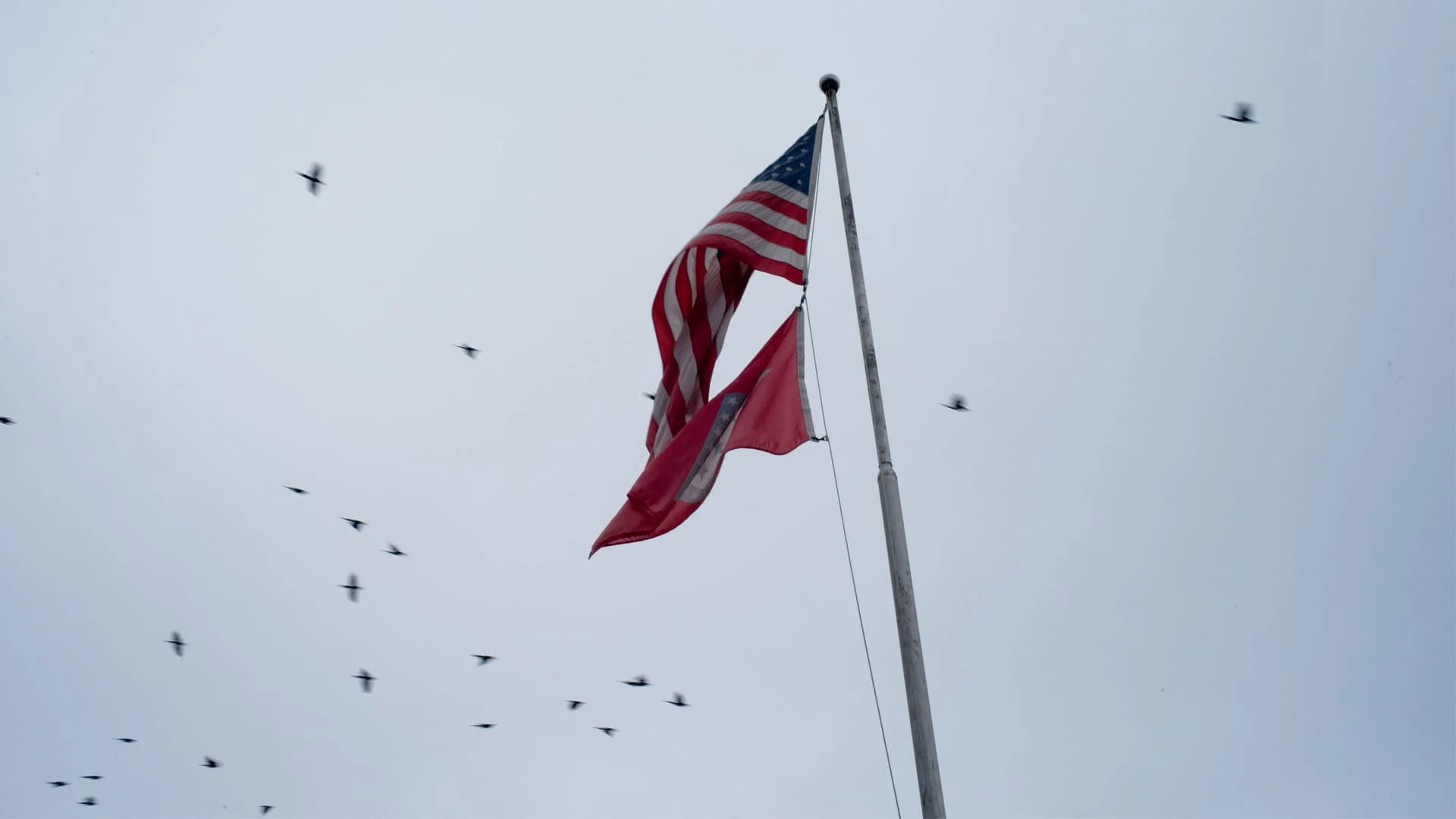 Phía Tây Memphis Tập Full