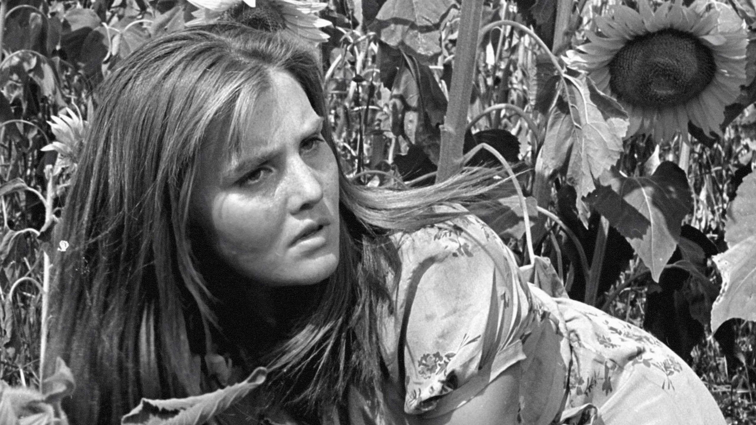 Tấn công và rút lui Tập Full