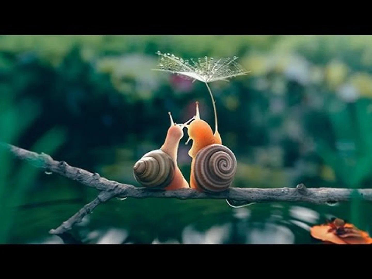 Thế Giới Côn Trùng Tập Full