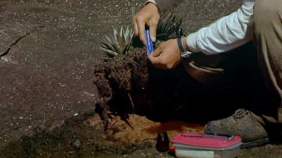 Thế Giới Mất Kiểm Soát Tập Full