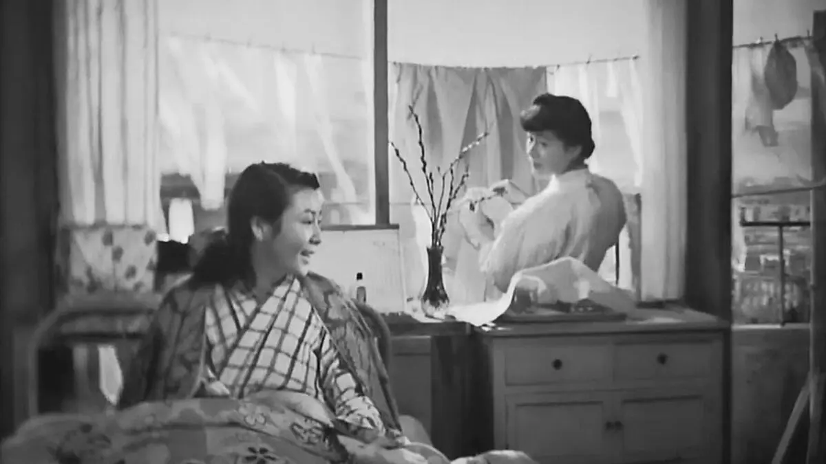 The Silent Encounter Tập Full