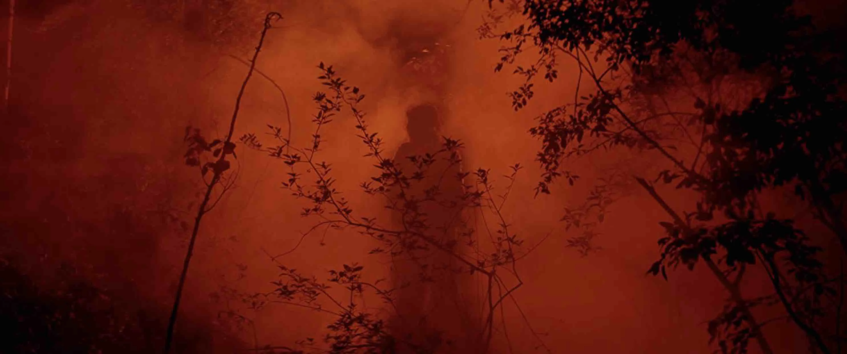 Trốn Chạy Tập Full