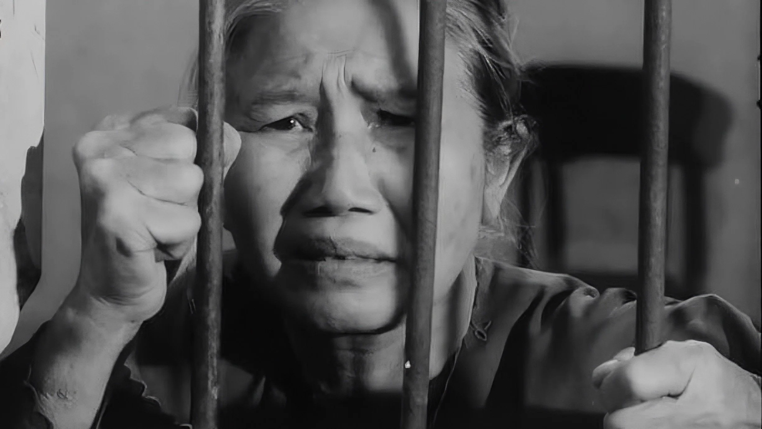 Tướng Về Hưu Tập Full