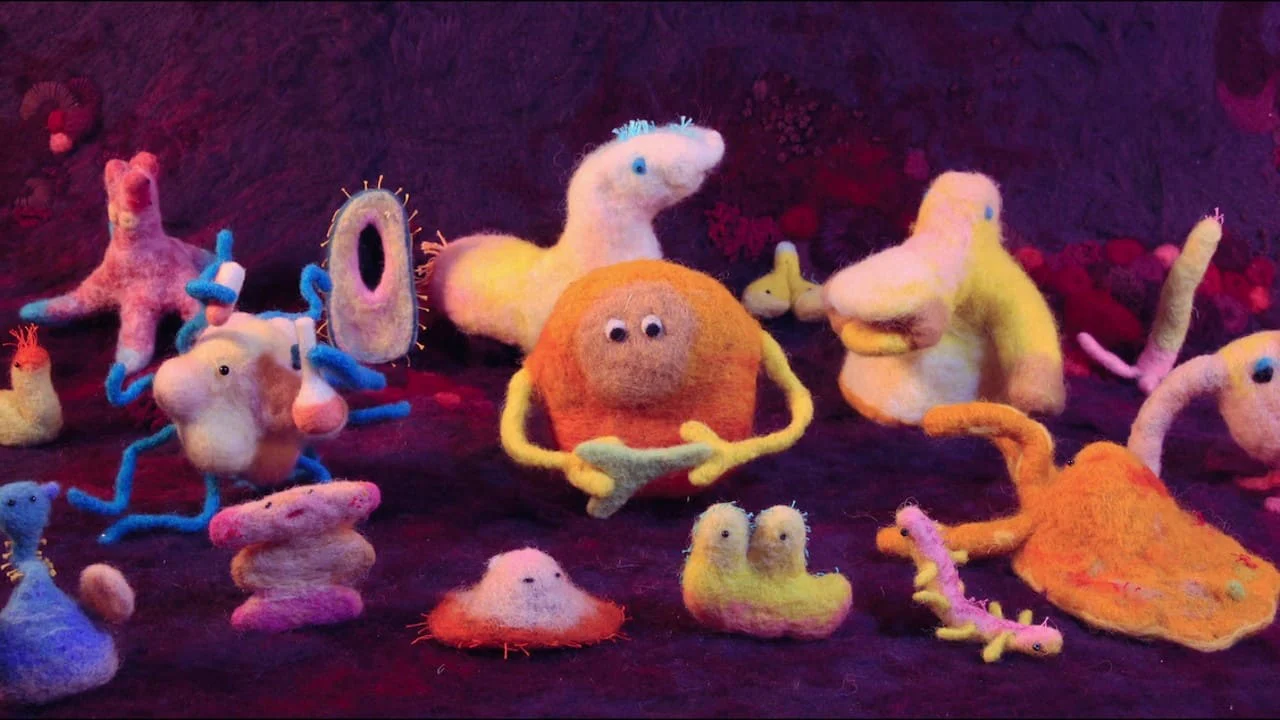 Vì Sức Khỏe: Bí Quyết Khoa Học Và Ăn Uống Tập Full