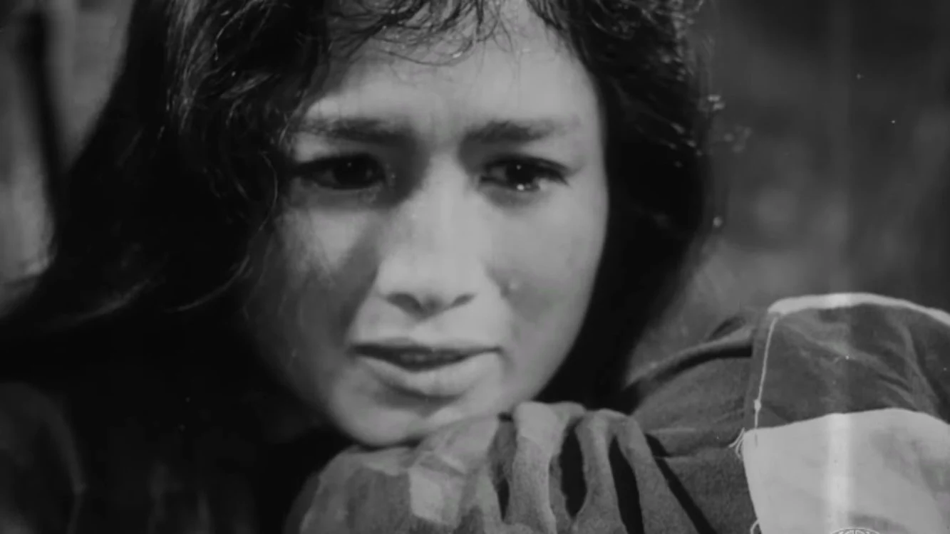 Vĩ Tuyến 17 Ngày Và Đêm Tập Full