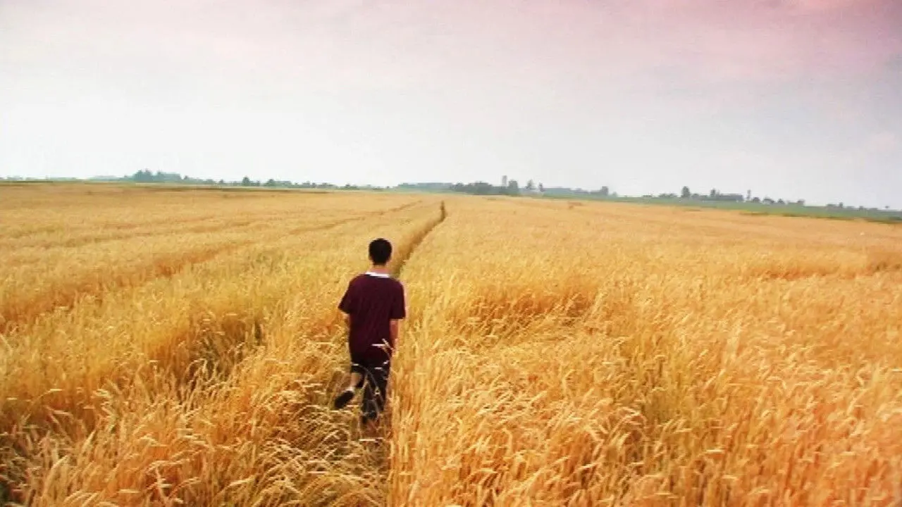 Tôi chỉ yêu người lạ Tập Full