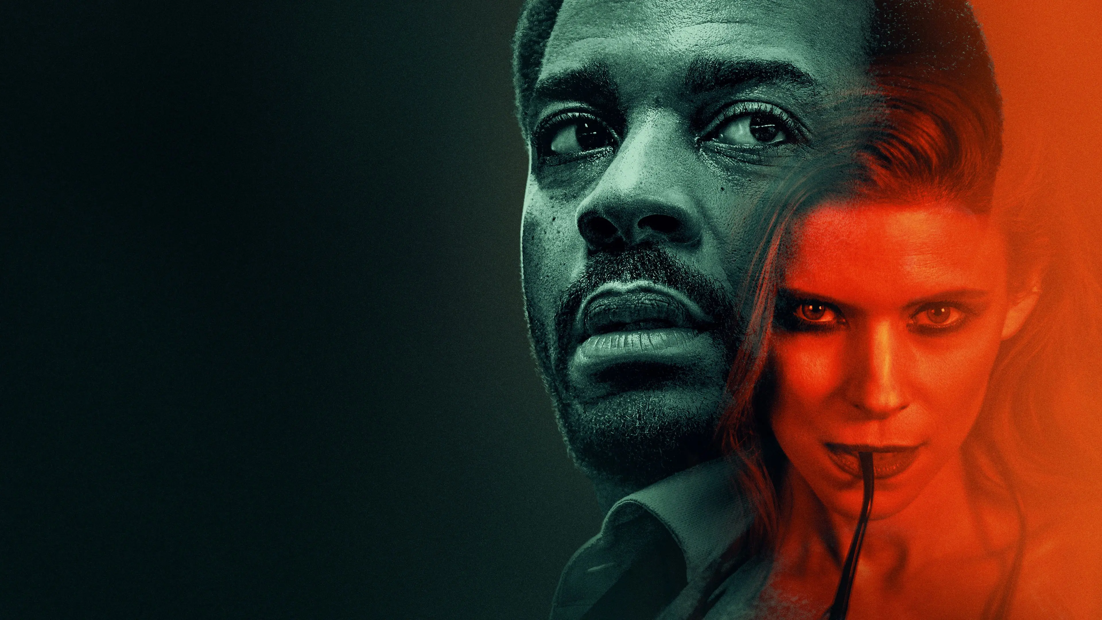 Con Gà và Nắm Thóc Tập Full