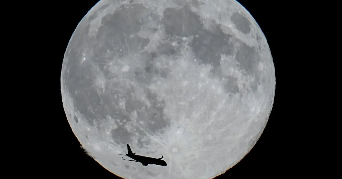 Tiệc Quái thú dưới ánh trăng Tập Full