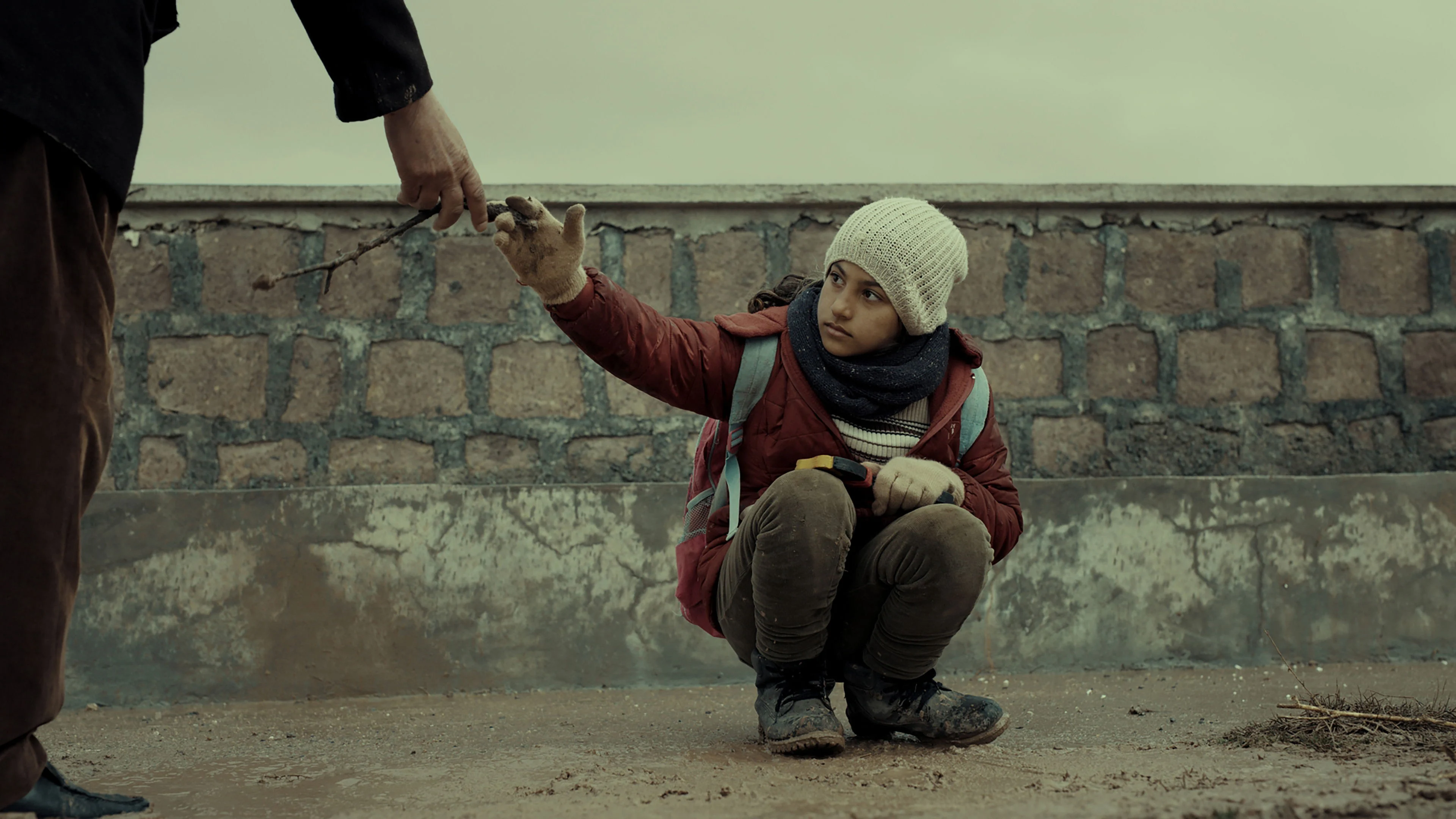 Đinh Hương Và Cẩm Chướng Tập Full