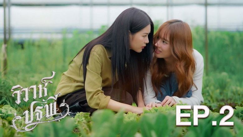 Tập 2